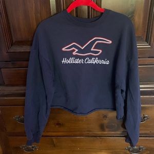 Hollister sweatshirt